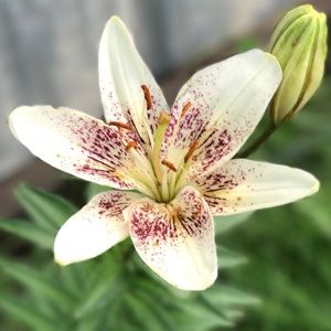 Meet your Posher, Victoria